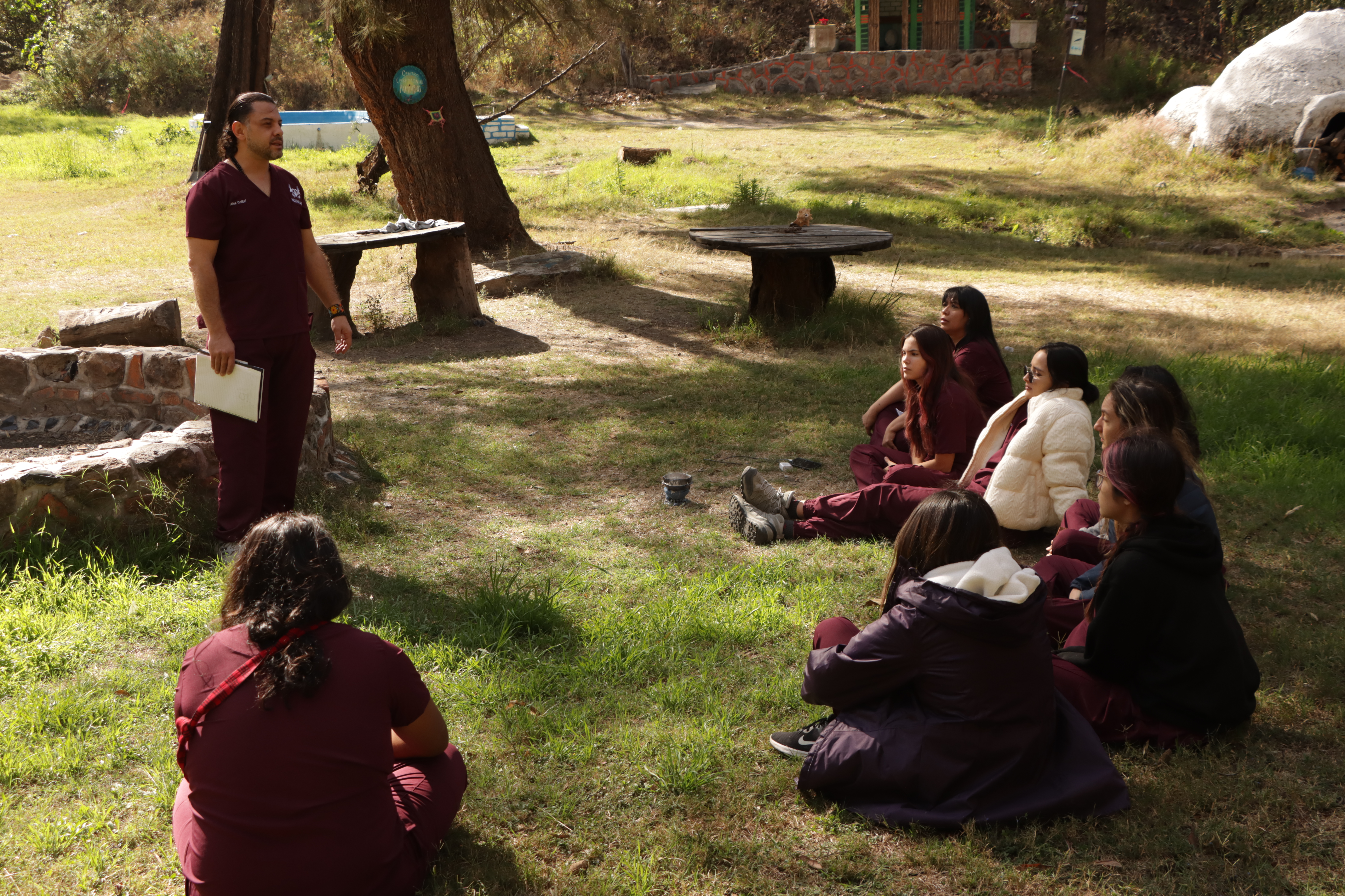 Atardecer en el bosque