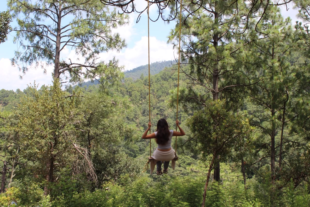 Momento de contemplación en el bosque