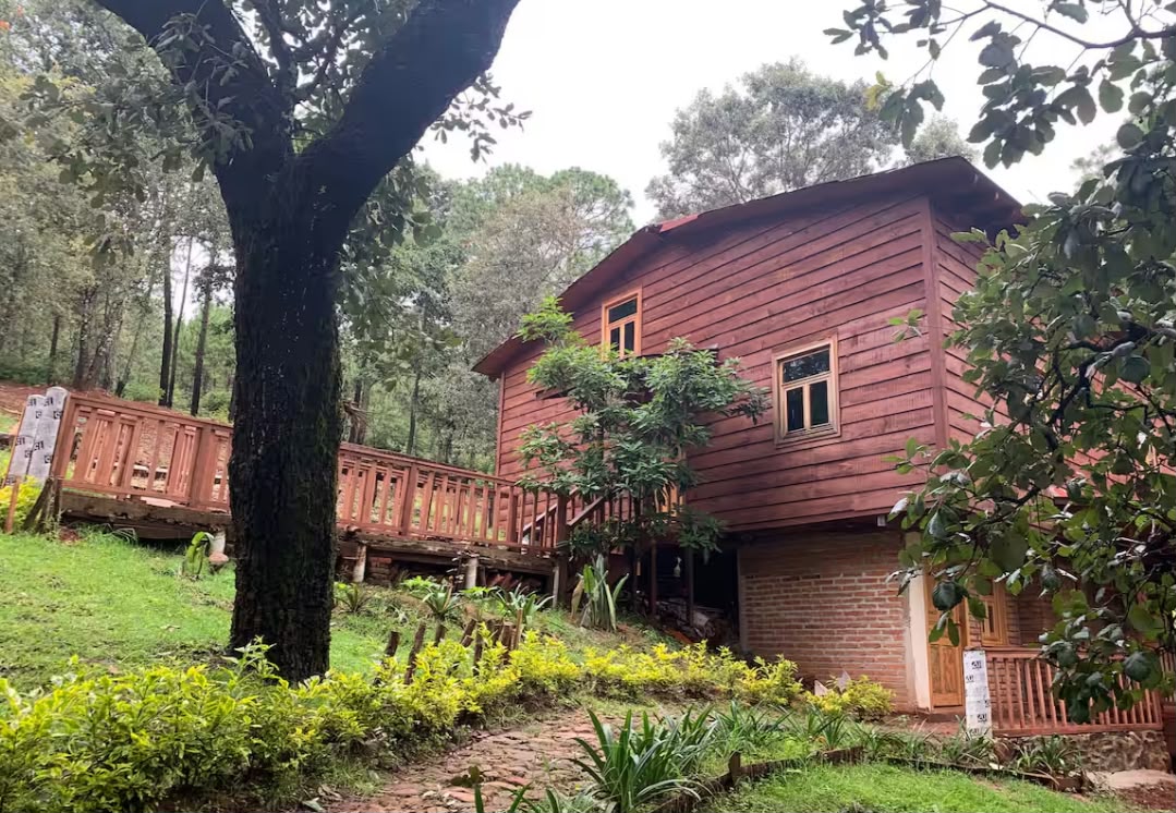 Cabaña de madera entre los árboles