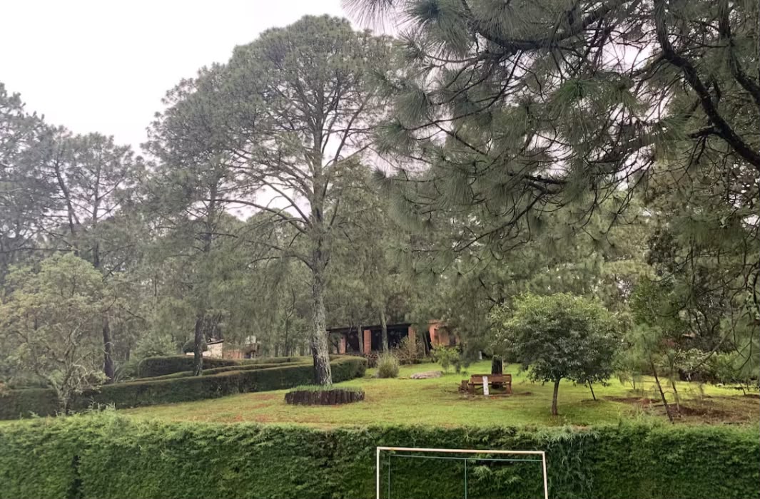Jardines entre los pinos
