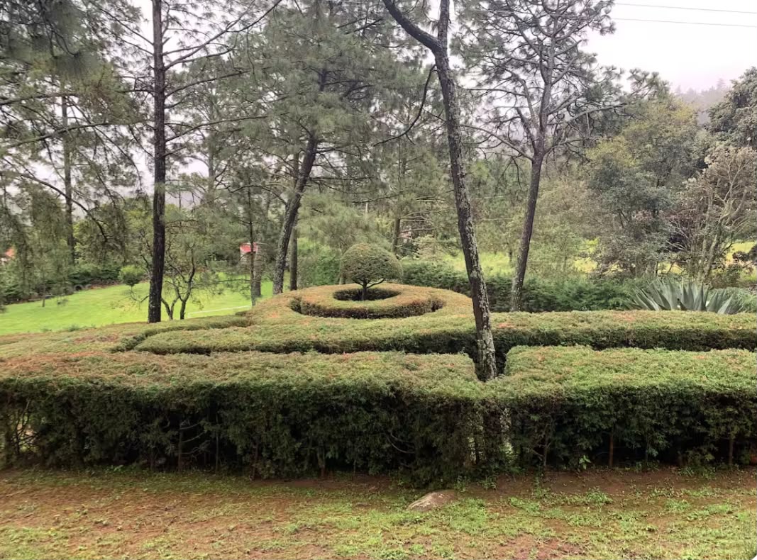 Laberinto natural del jardín
