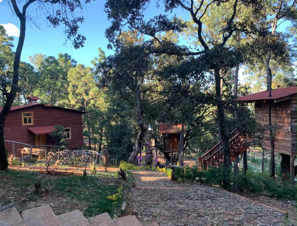 Sendero entre las cabañas